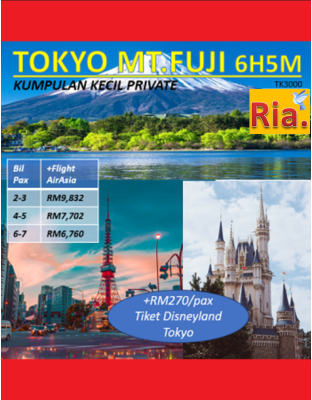 Private Tokyo Mt Fuji 6H5M