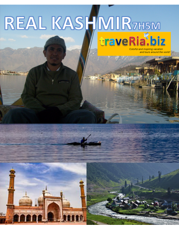 7h5m real kashmir 145