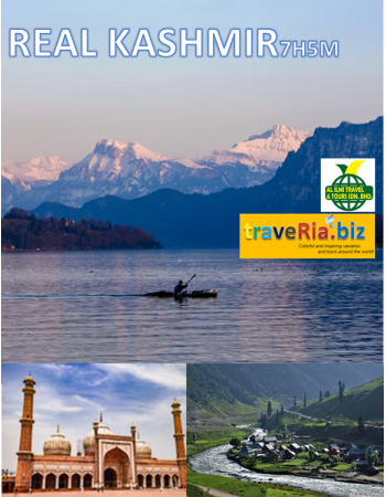 7H5M REAL KASHMIR