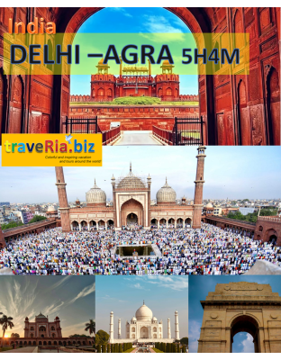 private india delhi agra 5h4m