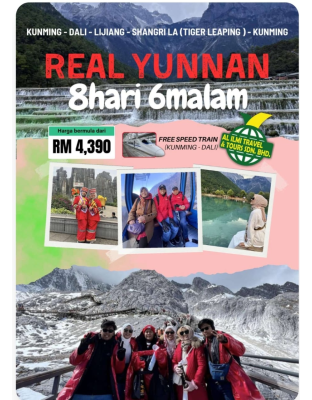 Real Yunnan 8H6M